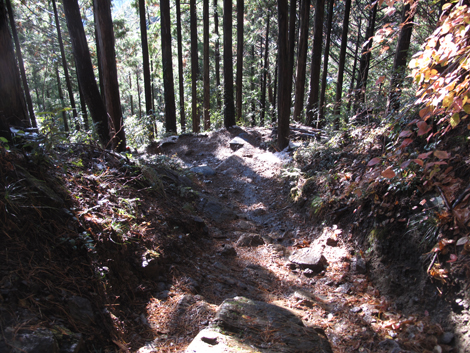 20161125hike (307)